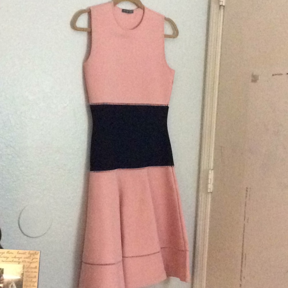 Alexander McQueen Pink and Black Dress